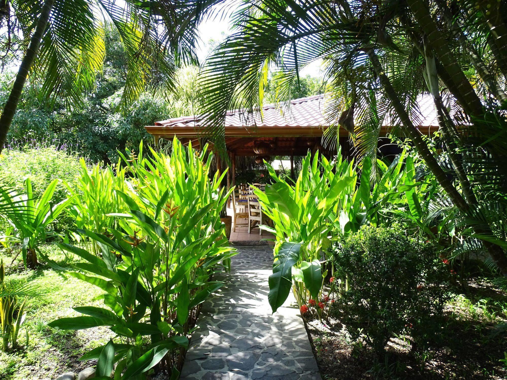Indigo Yoga Surf Resort Malpais Zewnętrze zdjęcie